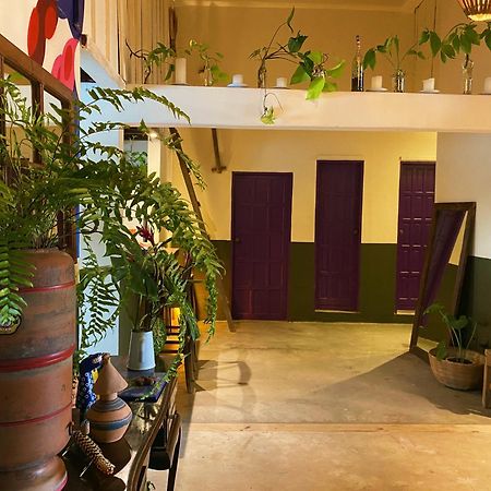 Teiu Hostel Trancoso Luaran gambar