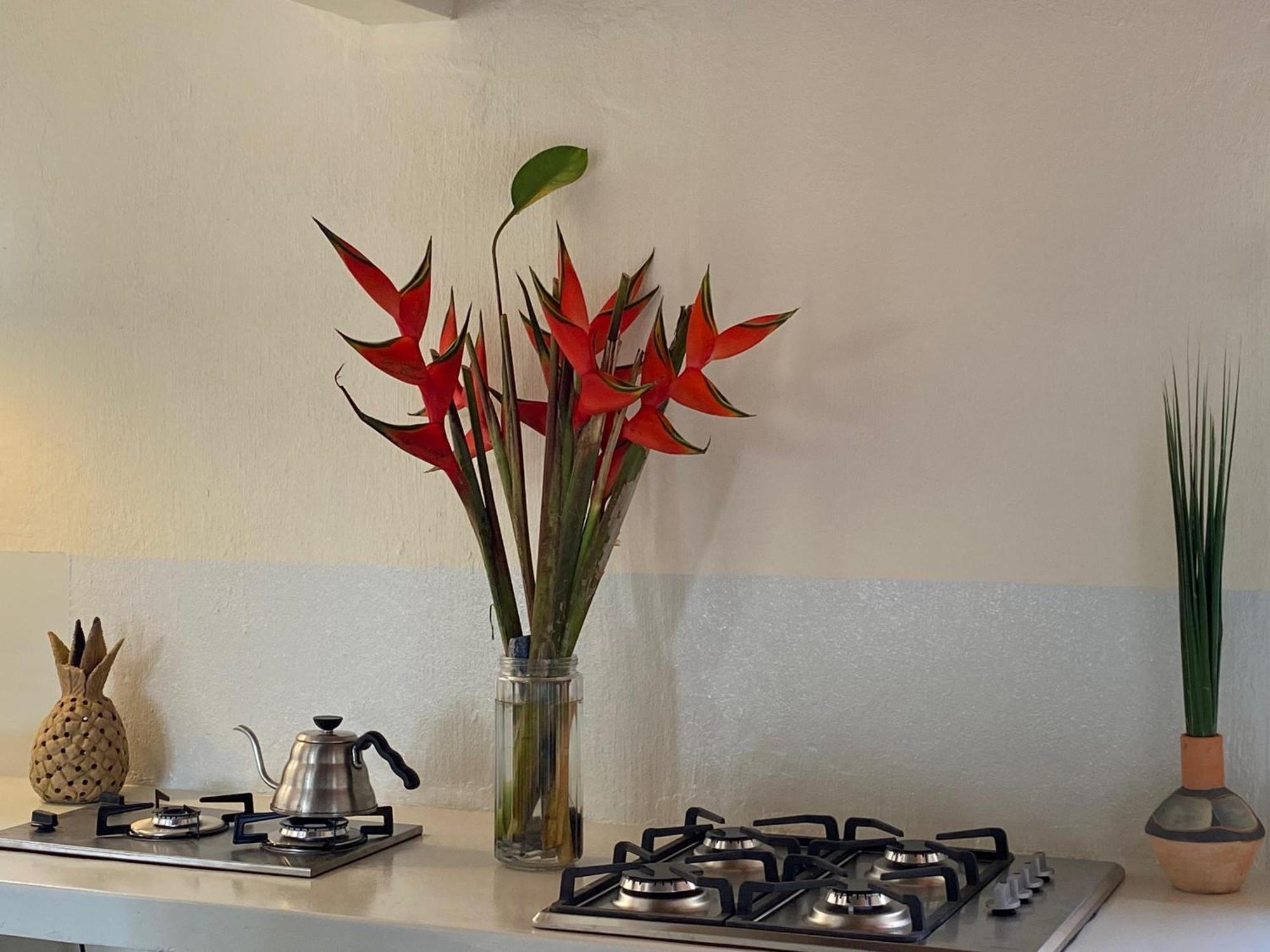 Teiu Hostel Trancoso Luaran gambar